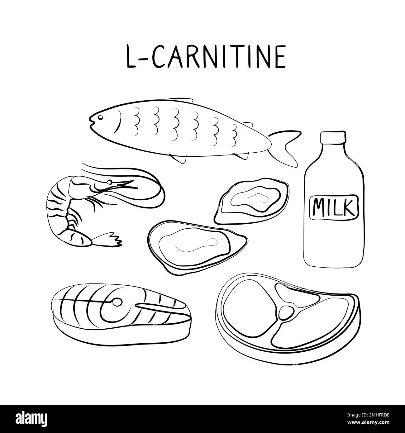 Alimenti contenenti L-carnitina. Gruppi di prodotti sani contenenti vitamine e minerali. Set di frutta, verdura, carne, pesce e latticini Illustrazione Vettoriale