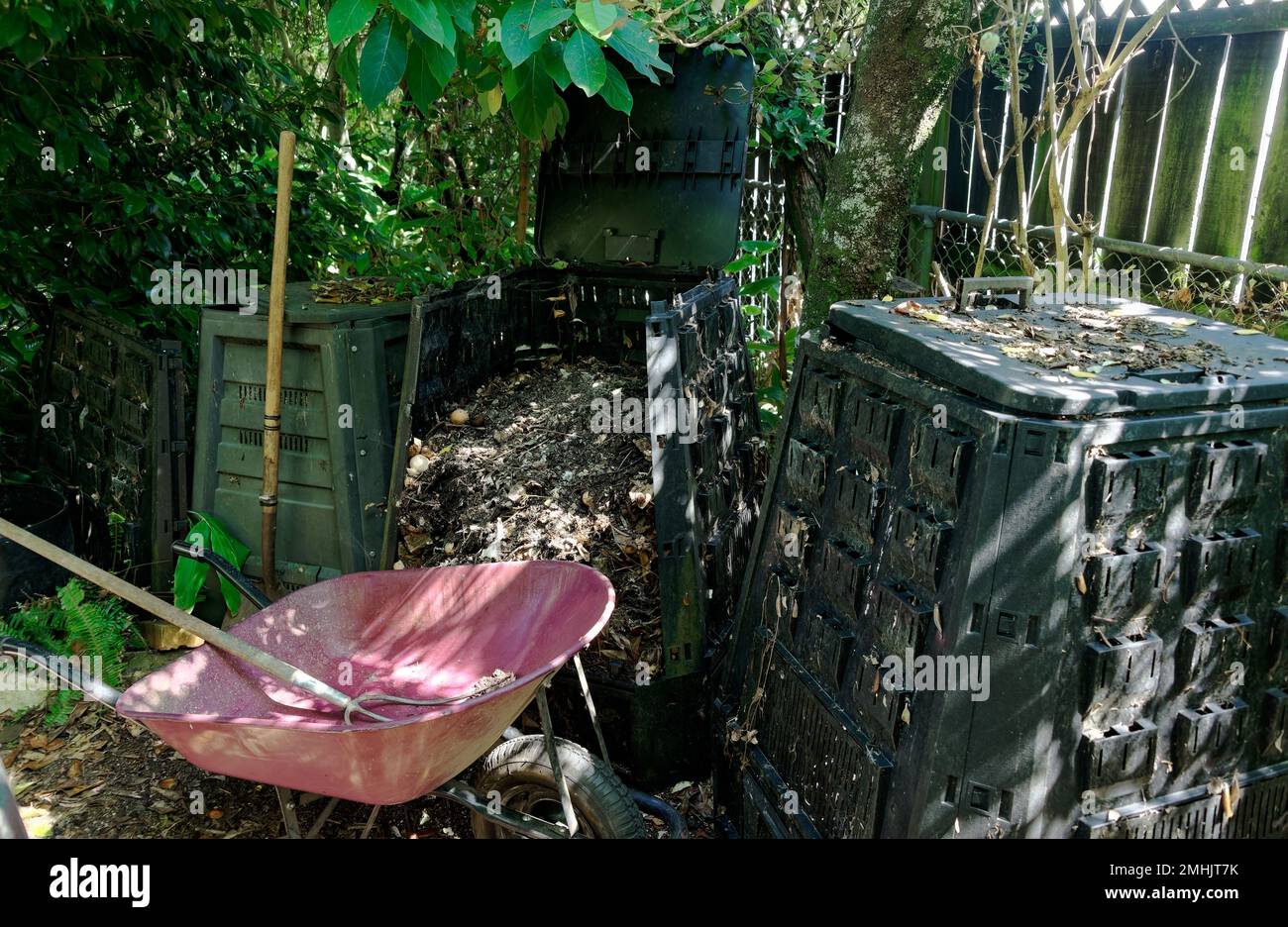 Una carriola viola vuota ha un forcone in esso, sta aspettando di essere riempito di compost da alcuni bidoni di compost. Foto Stock