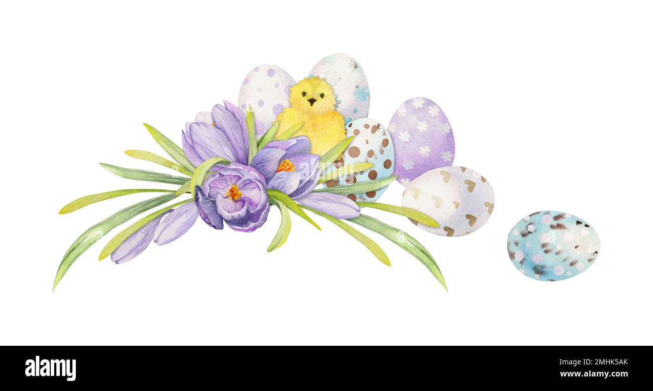 Acquerello disegnata a mano la clipart di festa di Pasqua. Composizione di uova dipinte, fiori primaverili, foglie, ramoscello. Isolato su sfondo bianco Design per Foto Stock
