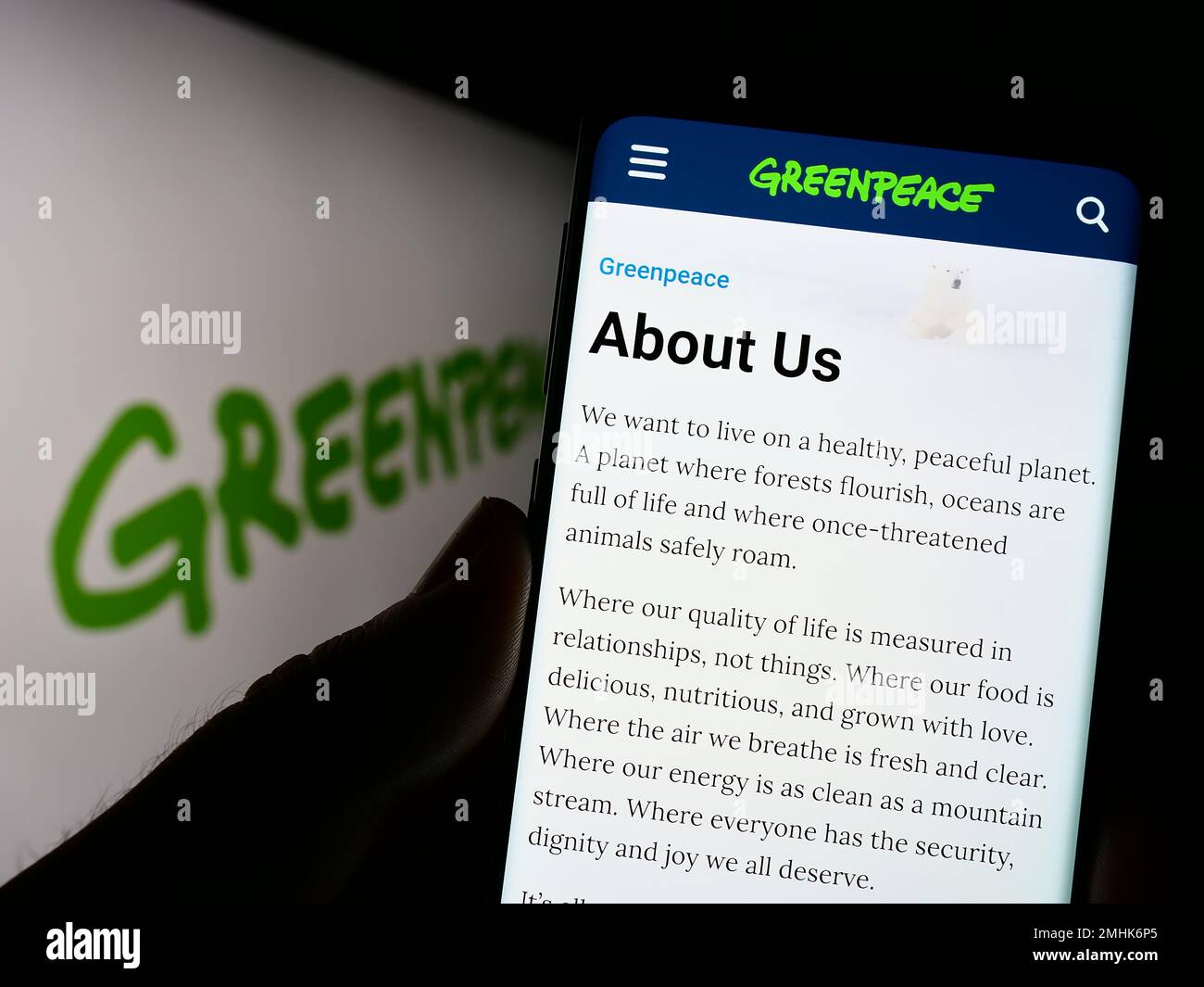 Persona che tiene il cellulare con pagina web di campagna ambientale rete Greenpeace sullo schermo con logo. Messa a fuoco al centro del display del telefono. Foto Stock