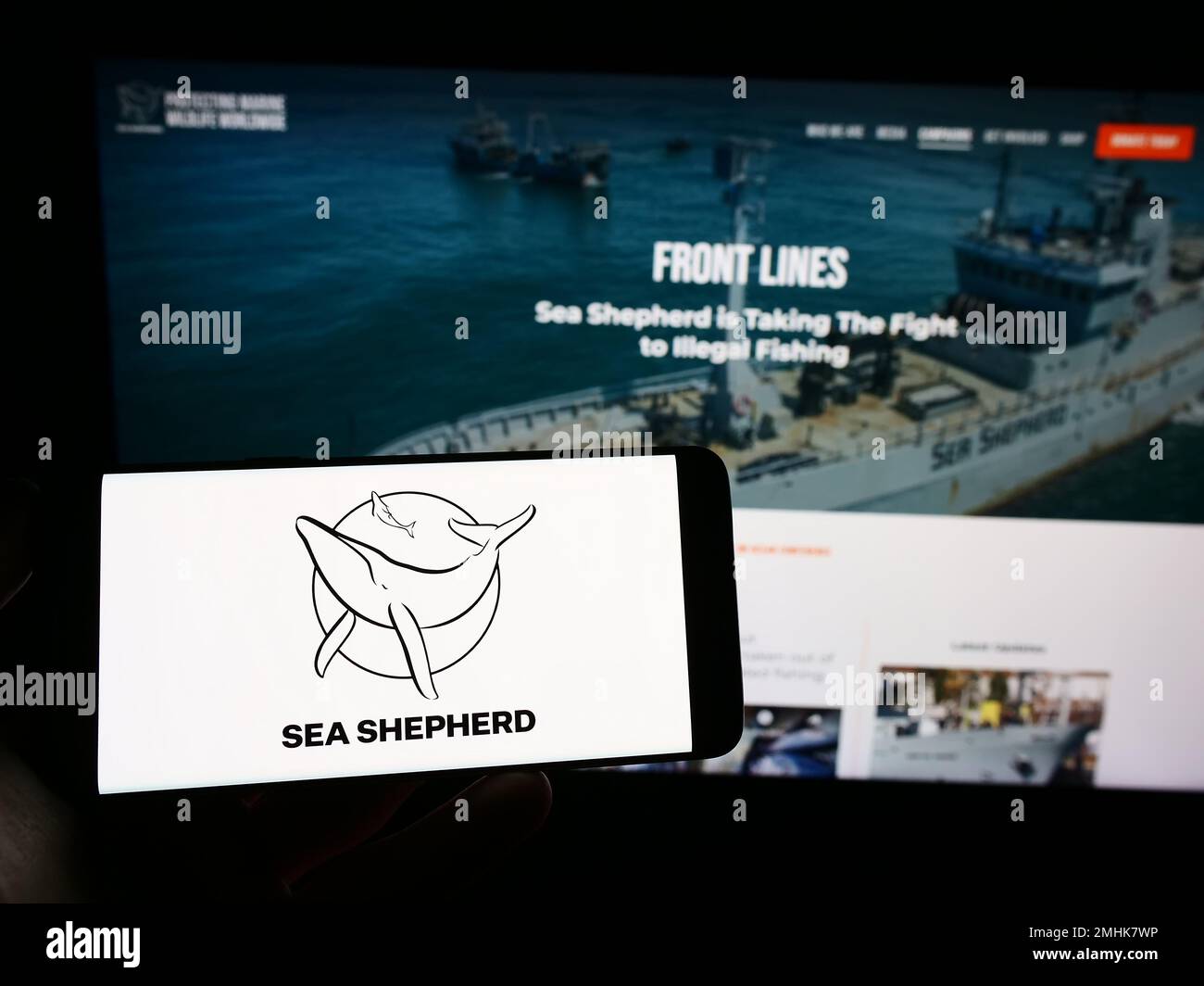 Persona che tiene uno smartphone con il logo della Sea Shepherd Conservation Society (SSCS) sullo schermo di fronte al sito Web. Messa a fuoco sul display del telefono. Foto Stock