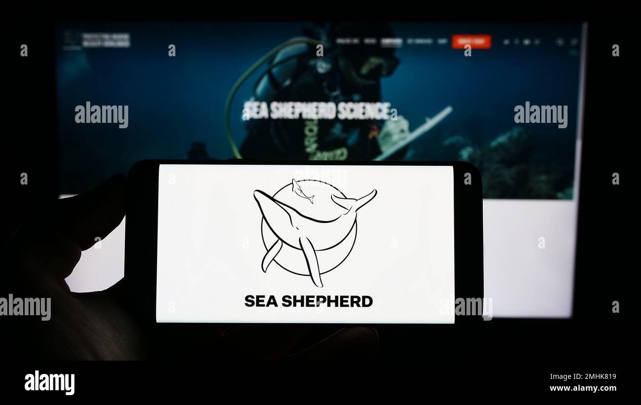 Persona che tiene il cellulare con il logo della Sea Shepherd Conservation Society (SSCS) sullo schermo di fronte alla pagina web. Messa a fuoco sul display del telefono. Foto Stock