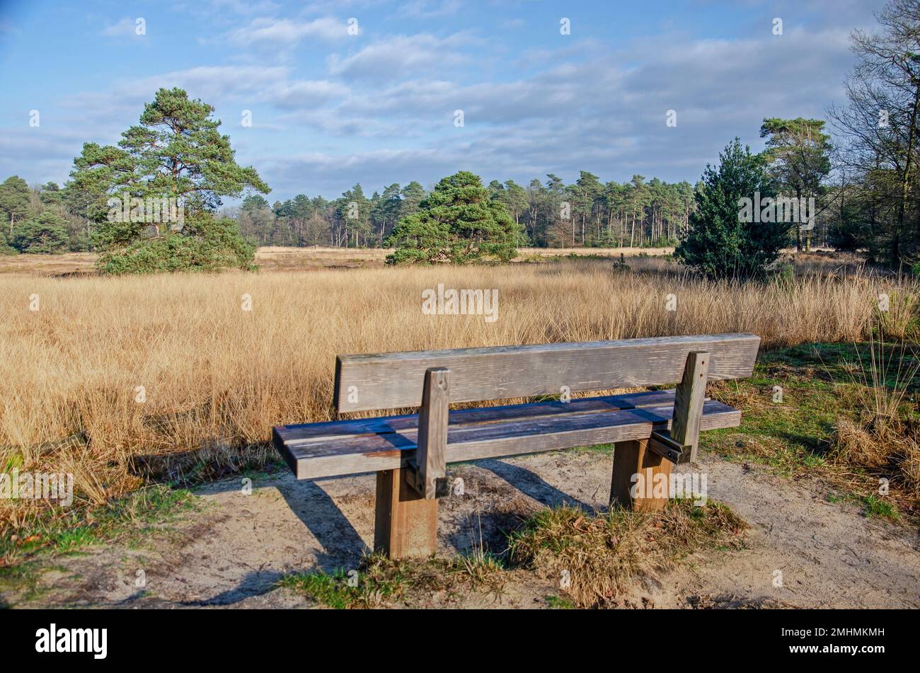 Paesaggio pittoresco con praterie, foreste e alberi sparsi e una panca di legno che si affaccia su di esso, vicino Dwingeloo, Paesi Bassi Foto Stock