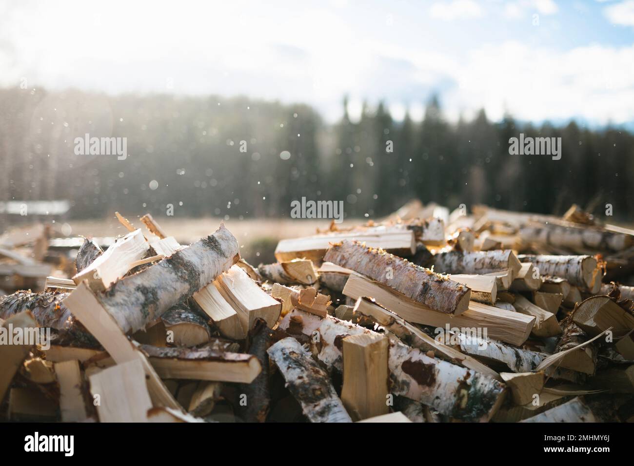 Cumulo di legname in segheria Foto Stock