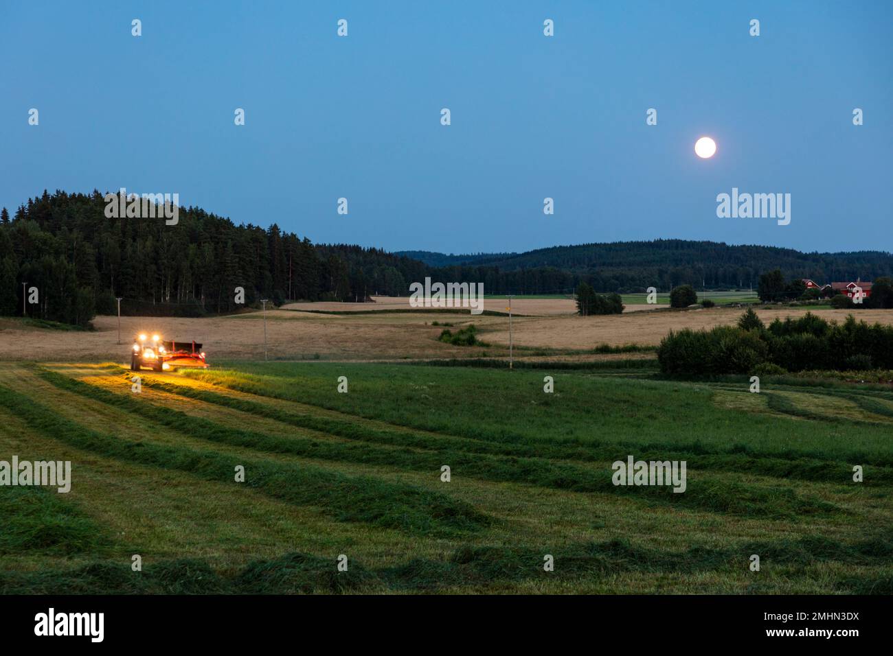 Macchina agricola che lavora in azienda al crepuscolo Foto Stock