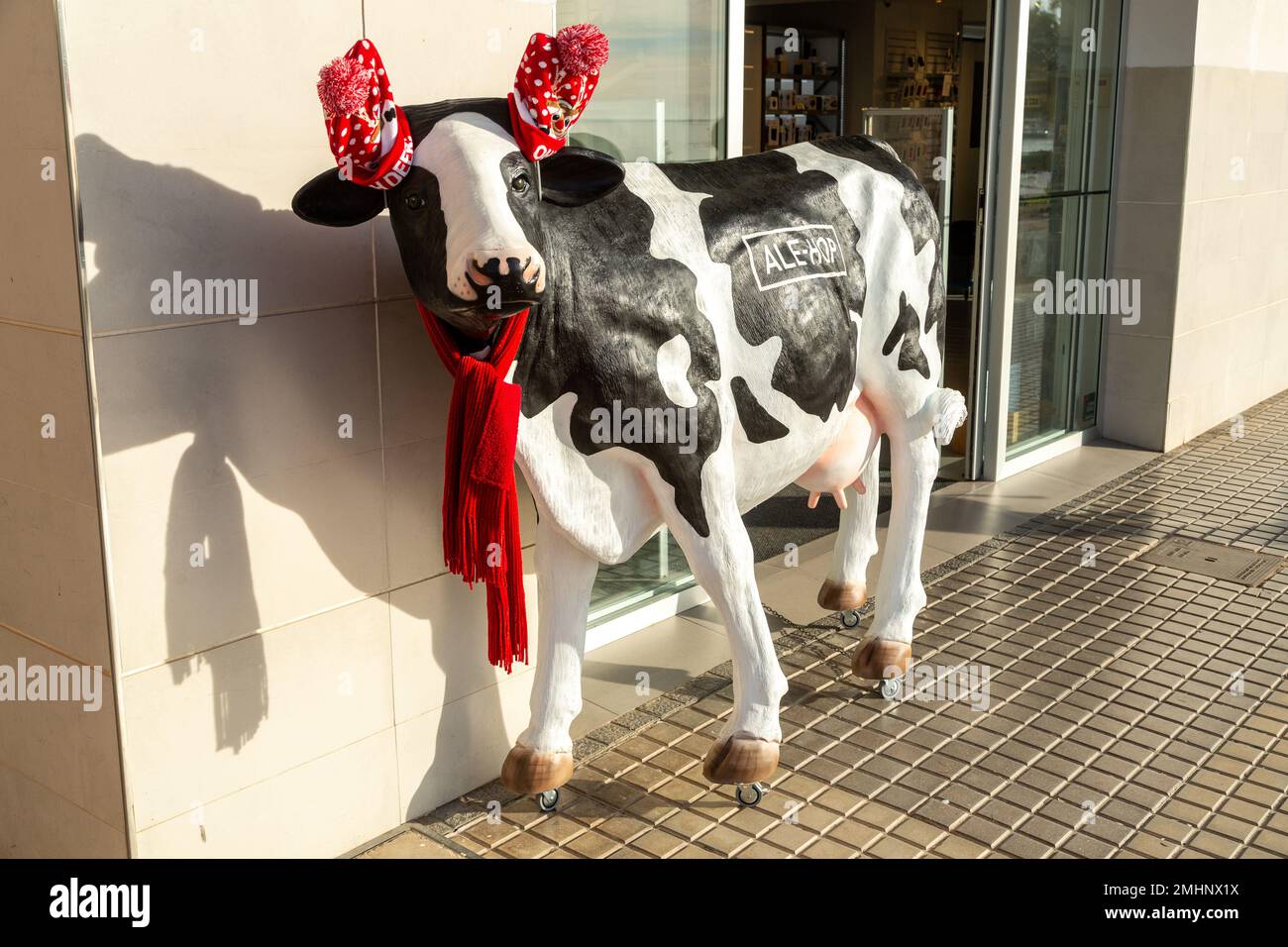 Una mucca bianca e nera di plastica fuori da un negozio di Benidorm che indossa cappelli di Natale sulle corna e una sciarpa rossa Foto Stock
