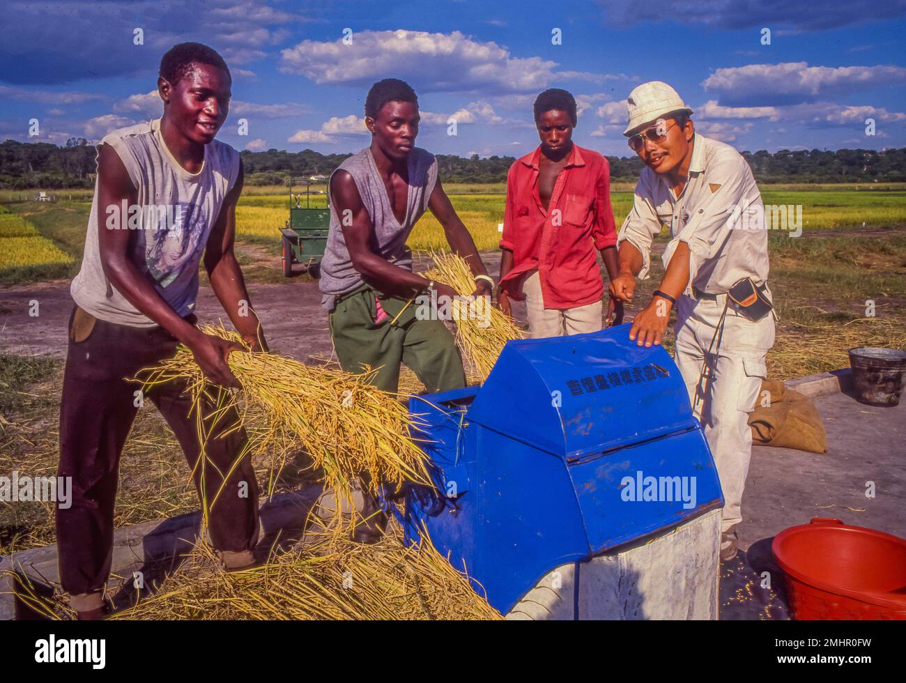 Zambia, provincia occidentale. Assistenza allo sviluppo giapponese. Una trebbiatrice di riso-macchina. Aiuto del Giappone. Foto Stock