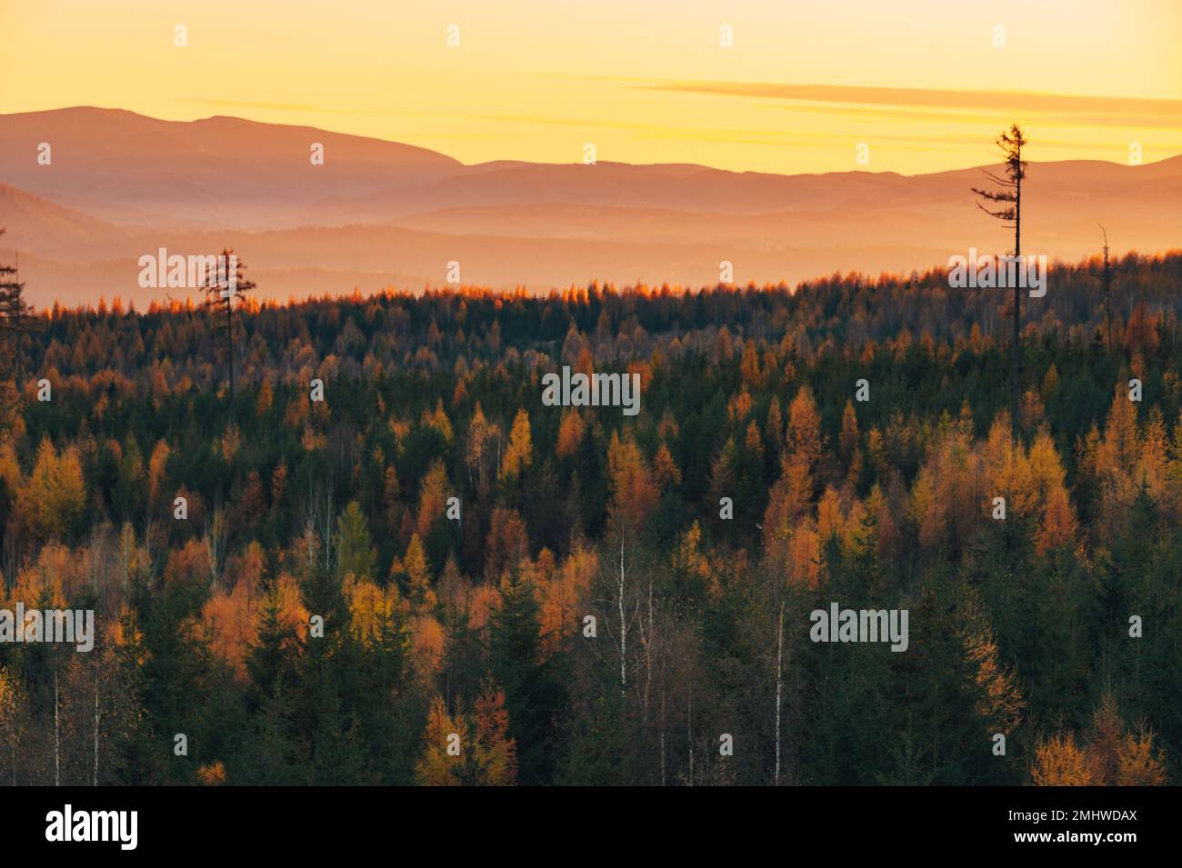 Mentre il sole cala sotto l'orizzonte, gli alti Tatra sono immersi in una calda luce dorata. Il paesaggio autunnale è ricco di colori, mentre gli alberi girano sha Foto Stock