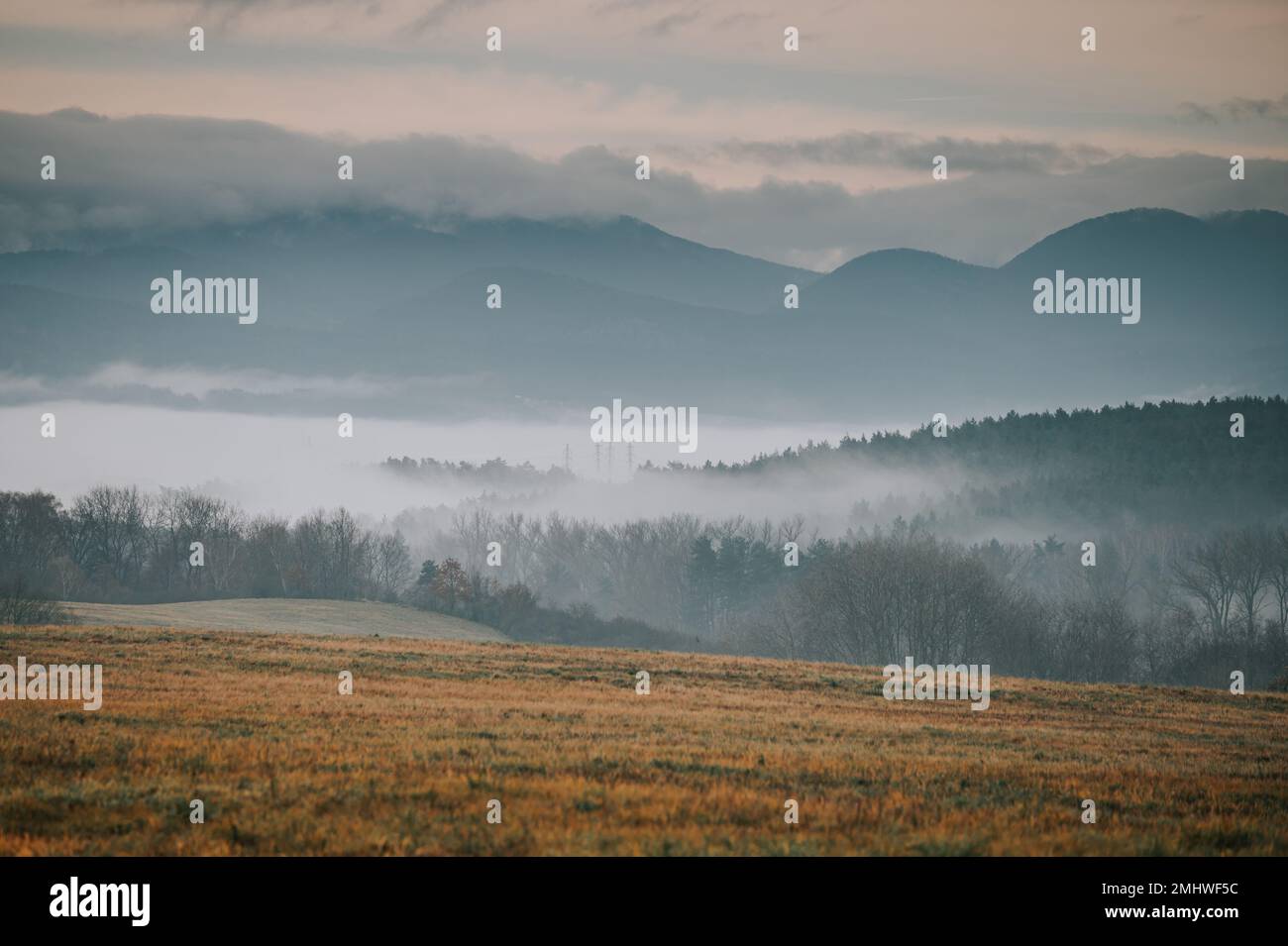 Il prato autunnale è una vista da vedere, mentre la nebbia si avvolse per vestire il paesaggio in un soffuso ed etereo bagliore. I colori vibranti degli alberi e g Foto Stock
