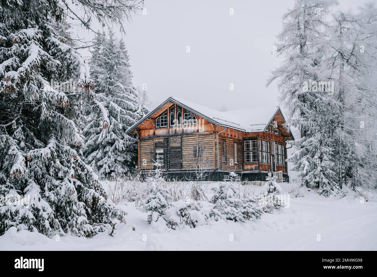 Accogliente cabina in legno immersa in un meraviglioso paese invernale di neve fresca, circondata da torreggianti pini in un ambiente appartato di montagna. La fuga perfetta f Foto Stock