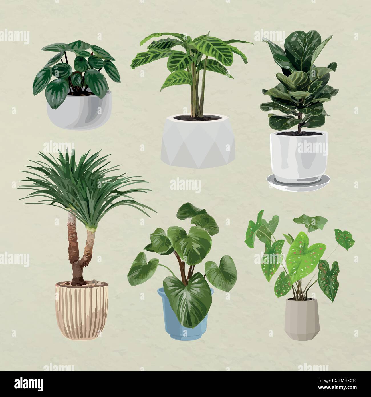 Pianta vettore arte, Houseplant set in vasi di fiori Illustrazione Vettoriale