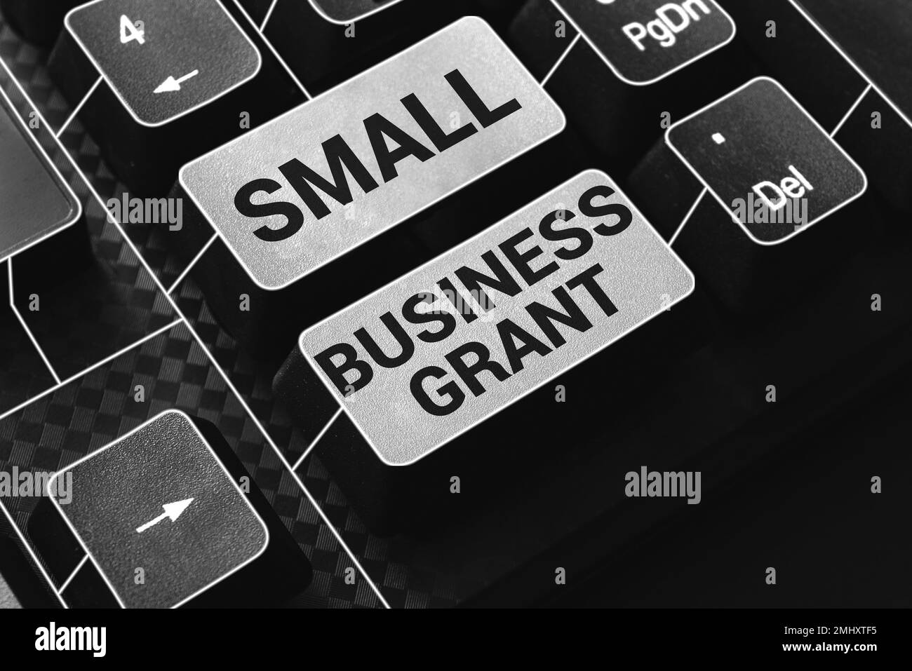 Ispirazione che mostra il segno Small Business Grant. Business showcase un'azienda di proprietà individuale nota per le sue dimensioni limitate Foto Stock