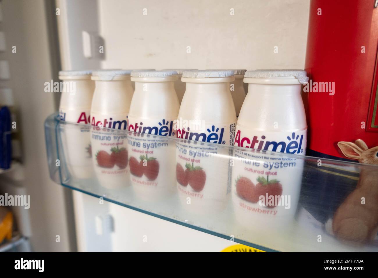 Ripiano frigorifero con fila di cinque bevande Actimel salute sulla vista Foto Stock