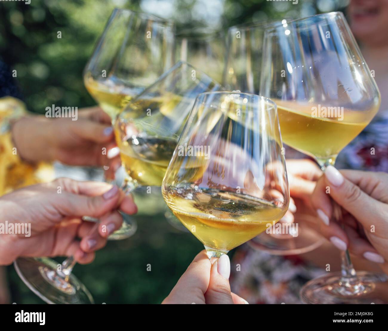Brindisi celebrativo con vino frizzante. Le mani femminili tengono bicchieri  di champagne. Compleanno, vacanza, festa e concetto di amicizia Foto stock  - Alamy