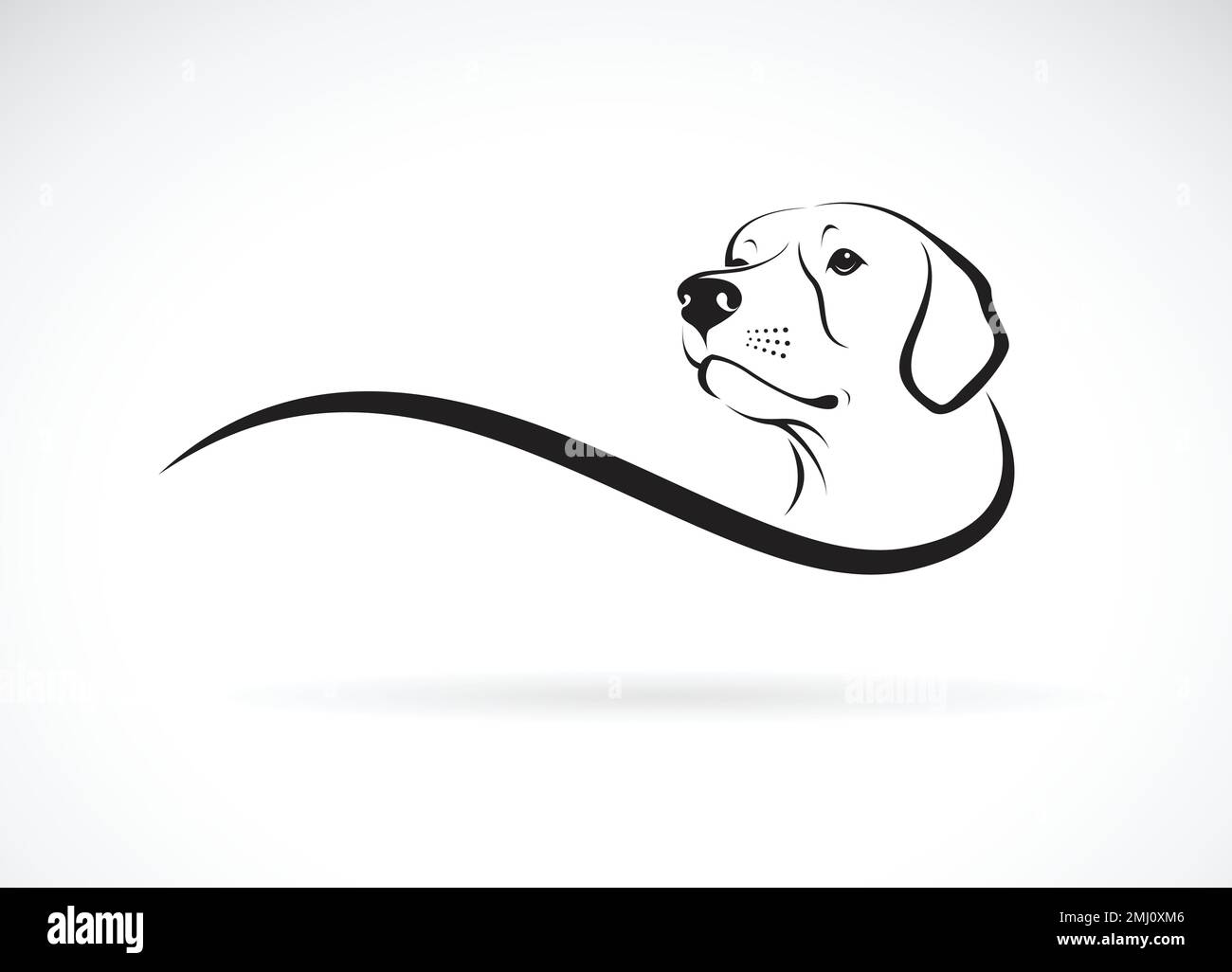 Vettore di una testa di cane (Labrador Retriever) su sfondo bianco., PET. Animali. Logo o icona Dogs. Illustrazione vettoriale a strati facilmente modificabile. Illustrazione Vettoriale