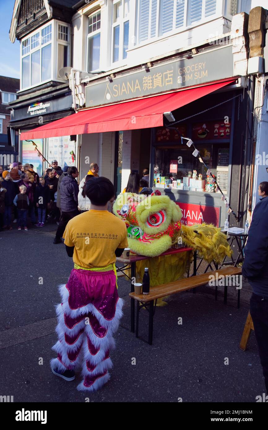 Inghilterra, East Sussex, Hove, Portland Road, Dragon Dance al di fuori del negozio Asiana per il Capodanno cinese 2023, l'anno del coniglio. Foto Stock
