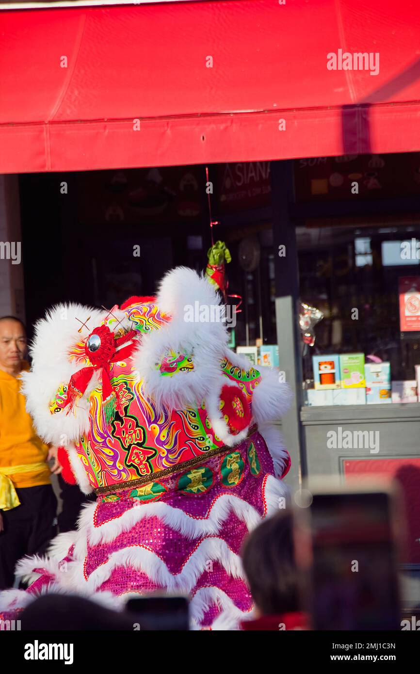 Inghilterra, East Sussex, Hove, Portland Road, Dragon Dance al di fuori del negozio Asiana per il Capodanno cinese 2023, l'anno del coniglio. Foto Stock