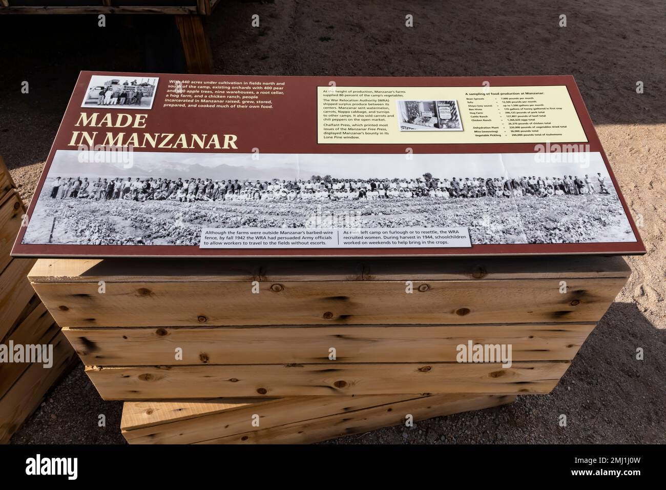 Cibo per sale disordine prodotte presso il Manzanar National Historic Site, Owens Valley, California, USA Foto Stock