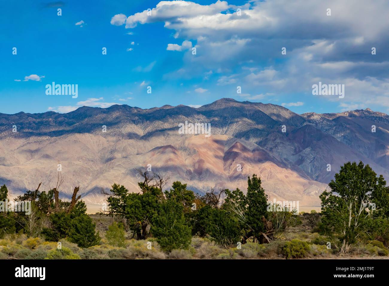 Vista delle montagne che si affaccia a est dal Manzanar National Historic Site, Owens Valley, California, Stati Uniti Foto Stock