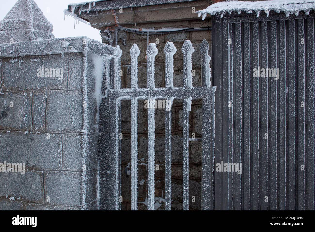 Cancello di metallo di un giardino con neve ghiacciata dopo una giornata di nebbia e tempesta Foto Stock