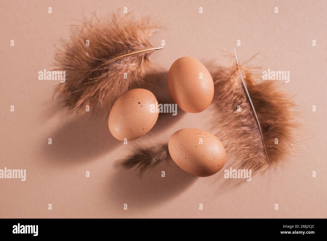Carta di Pasqua felice con uova e piume di colore naturale Foto Stock