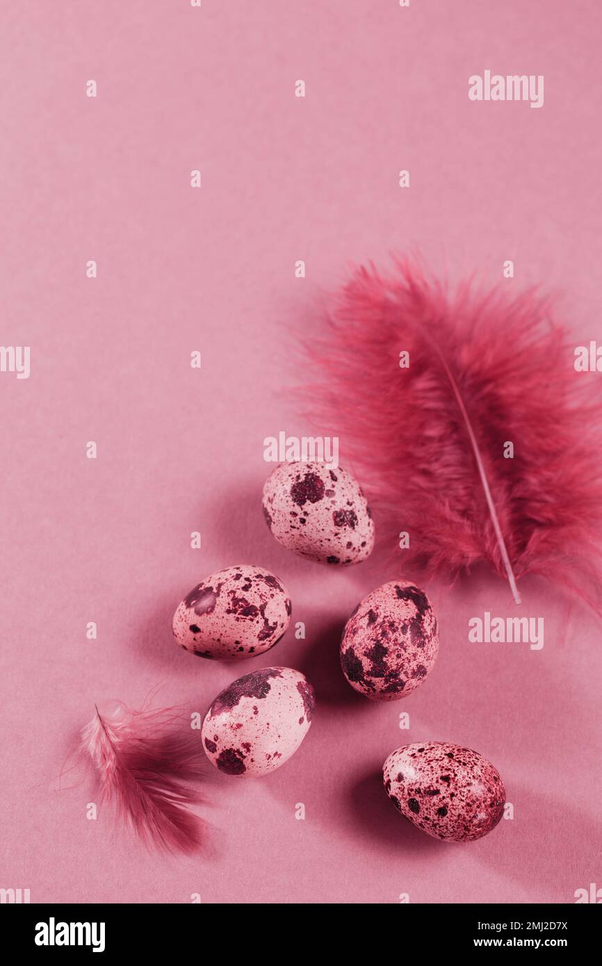 Carta di Pasqua felice con uova e piume di colore naturale Foto Stock