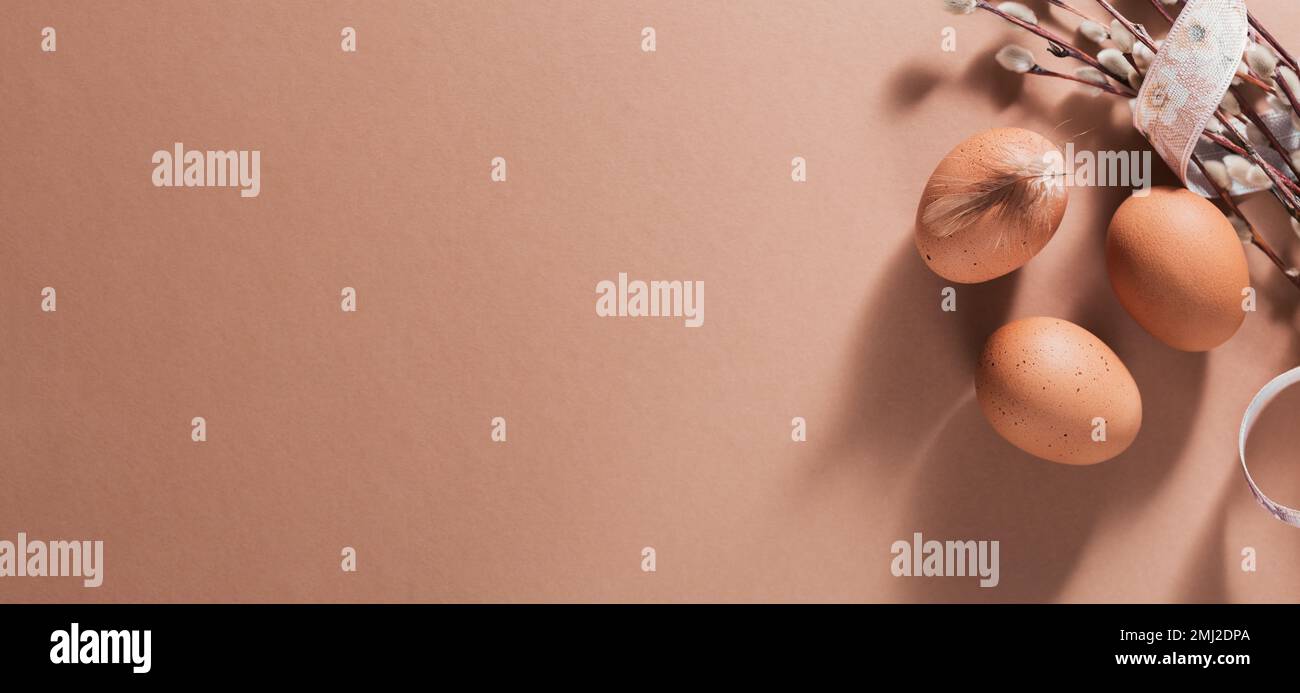 Sfondo pasquale con uova di colore naturale e piume marroni Foto Stock