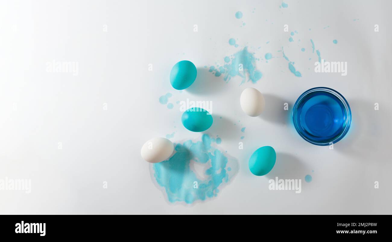 Processo di verniciatura delle uova di Pasqua con colorante naturale di colore blu Foto Stock