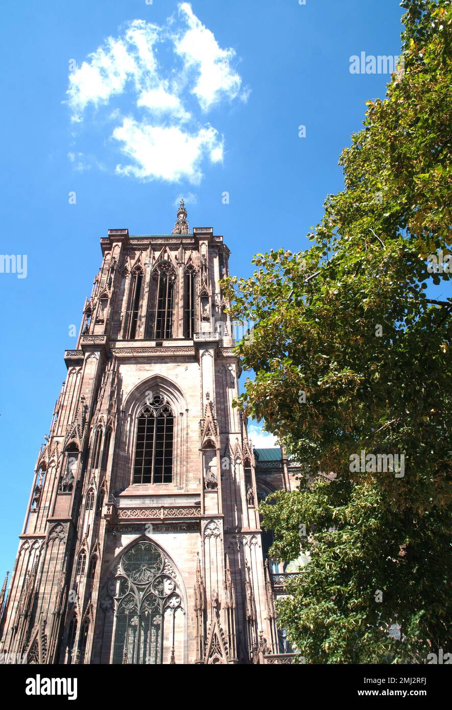 Parte dell'estremità occidentale della facciata sud della Cattedrale di Strasburgo, Strasburgo, Alsazia, Francia Foto Stock