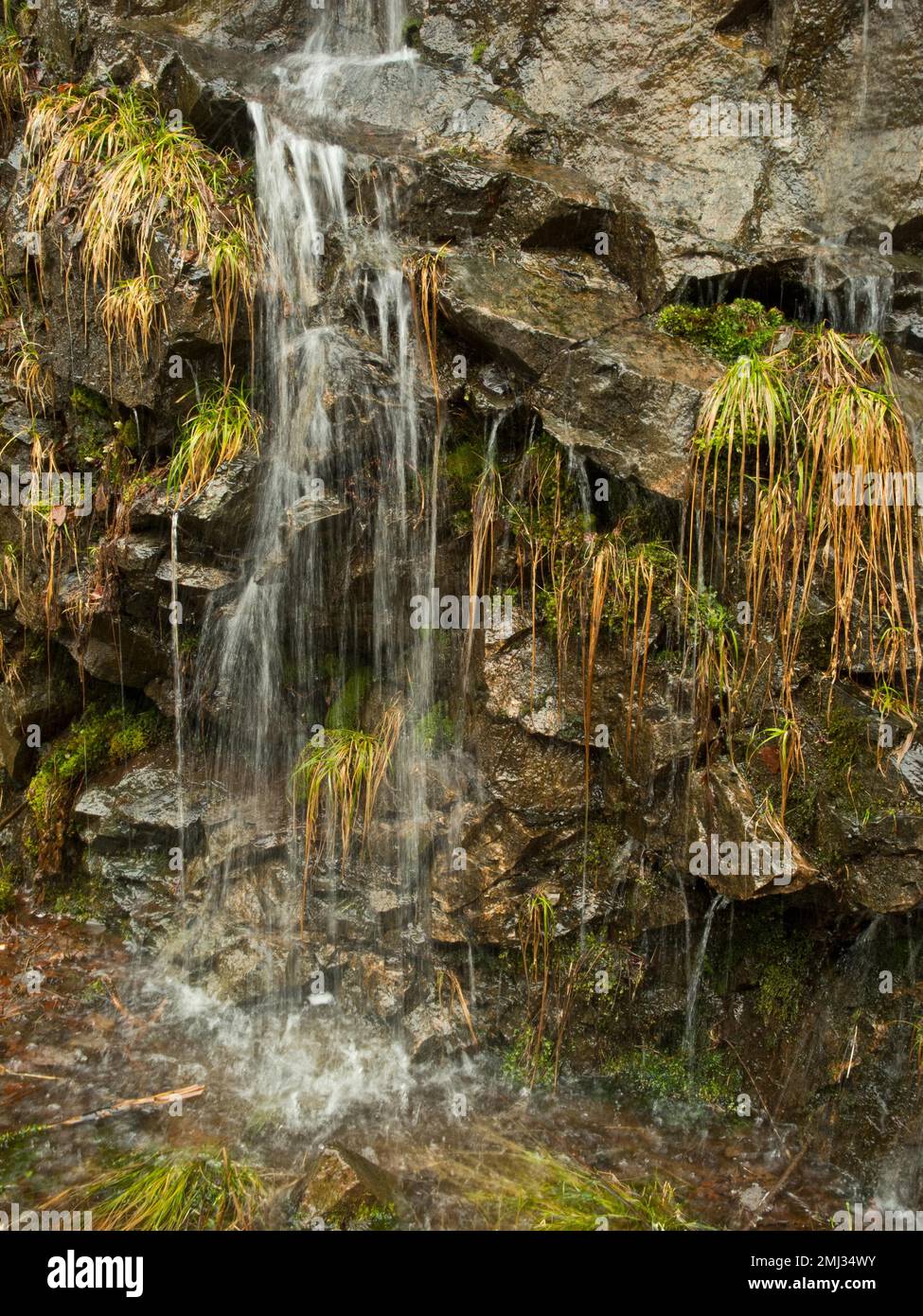 Cascata della Schwarza, Foresta Nera, Germania Foto Stock