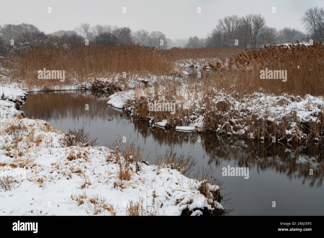 Neve fresca copre il terreno lungo le rive del Rock Run mentre scorre attraverso la riserva naturale Rock Run Forest Preserve nella contea di Will, Illinois Foto Stock
