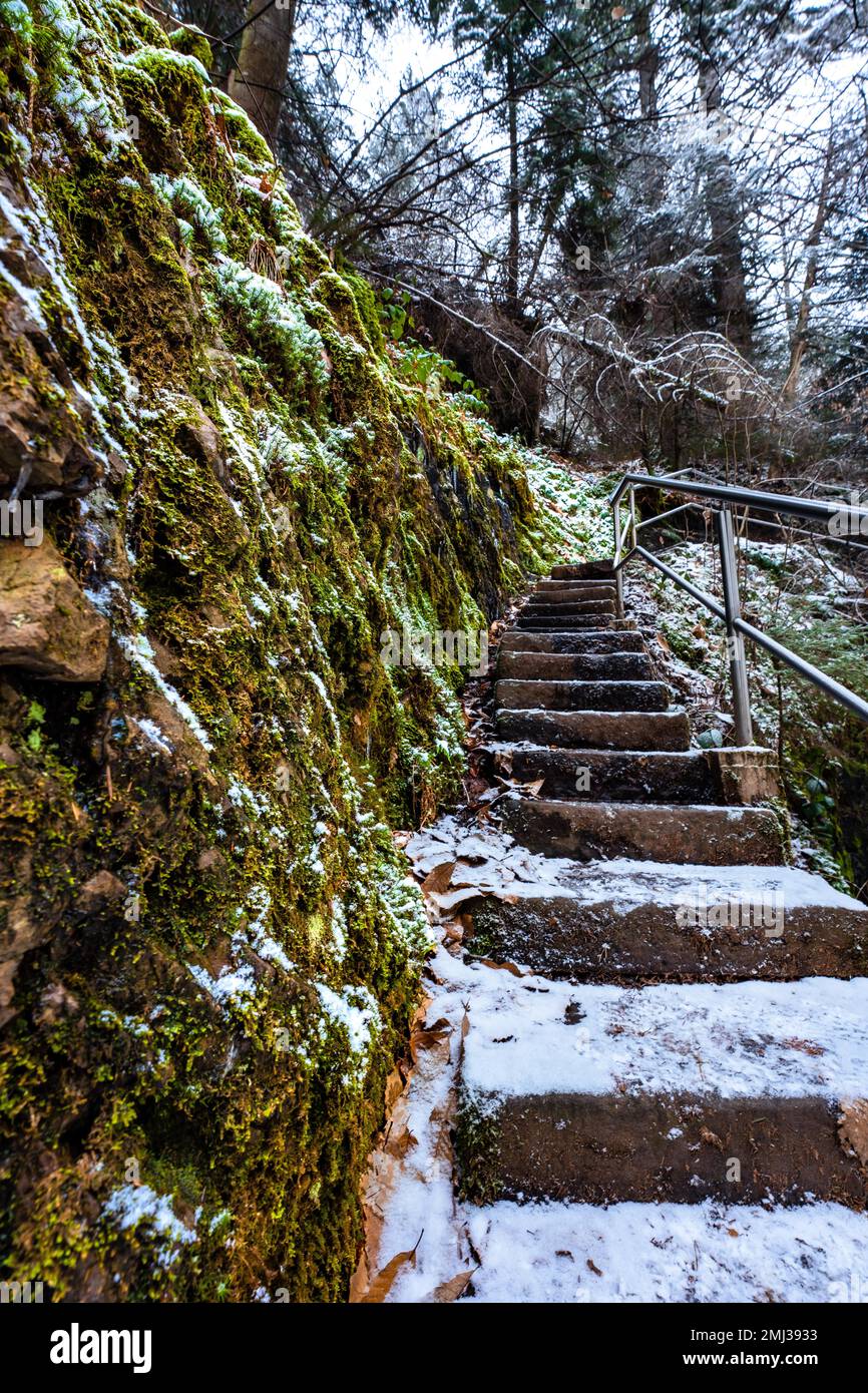 Percorso lungo la roccia verde in inverno con la neve, Gottschlaegtal, Foresta Nera, Germania Foto Stock