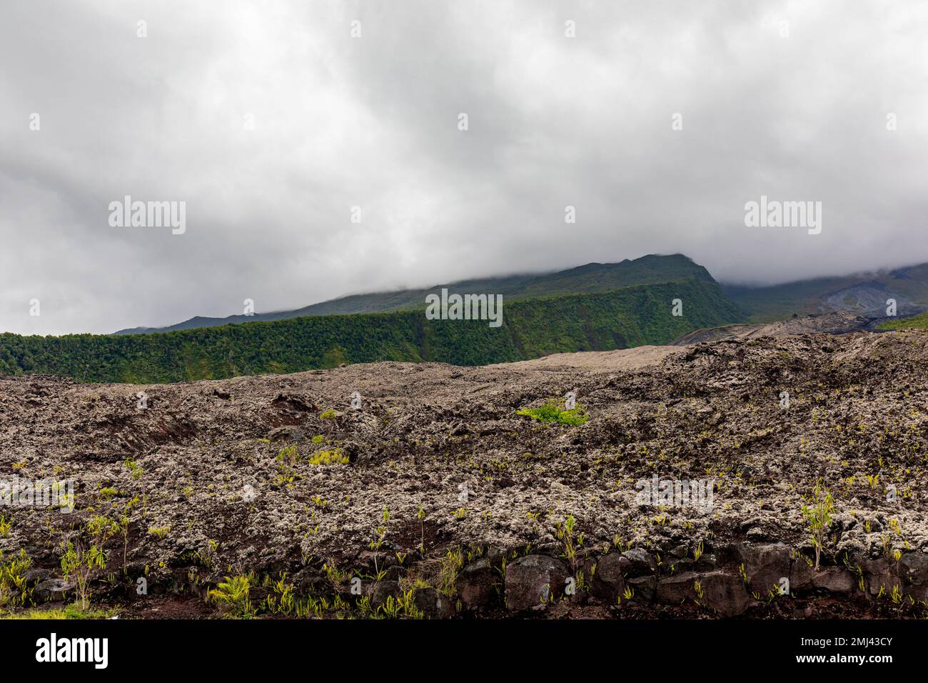 Sainte-Rose, Isola della riunione - le Grand Brule (Big Burned) ex flusso di lava Foto Stock
