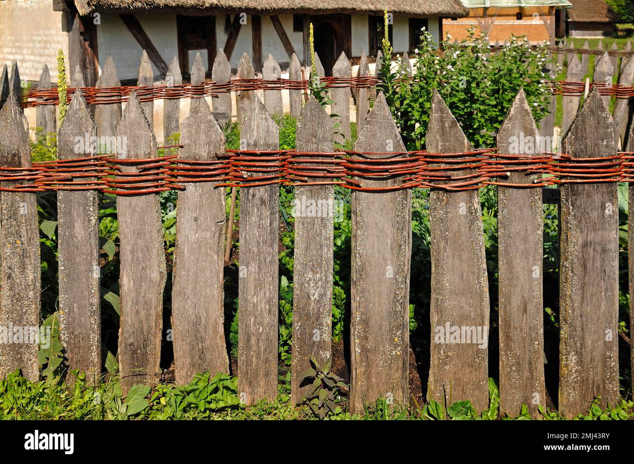 Vecchia recinzione in legno collegata con canne di salice, Museo all'aperto Franconiano, Bad Windsheim, Franconia media, Baviera, Germania Foto Stock
