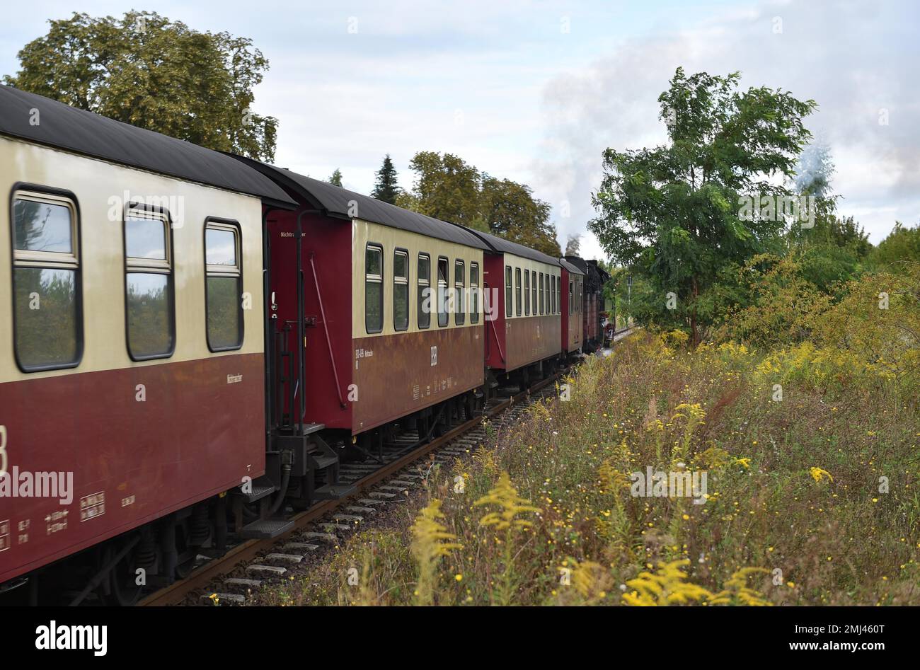 Viaggio in treno con Harzer Schmalspurbahn, HSB, Sassonia-Anhalt, Germania Foto Stock