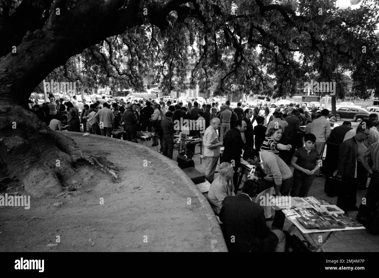 Collezionisti di francobolli al Parque Rivadavia (Rivadavia Park), Buenos Aires, Argentina, 1980 Foto Stock
