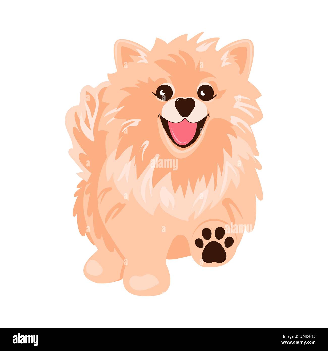 Cane da passeggio. spitz pomeranian carino Illustrazione Vettoriale