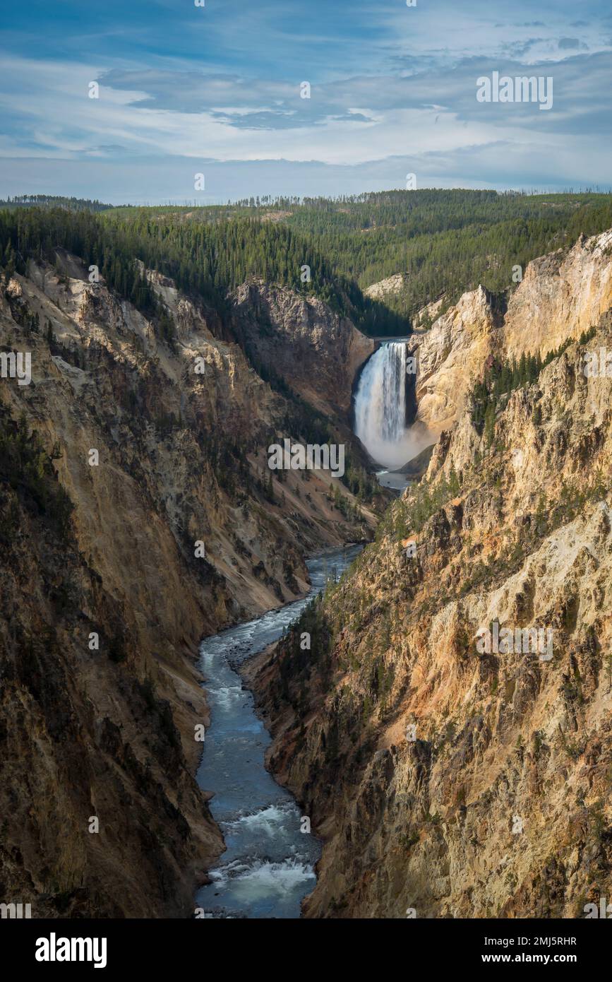 Cascate inferiori del fiume Yellowstone; parco nazionale di Yellowstone, Wyoming, USA. Foto Stock
