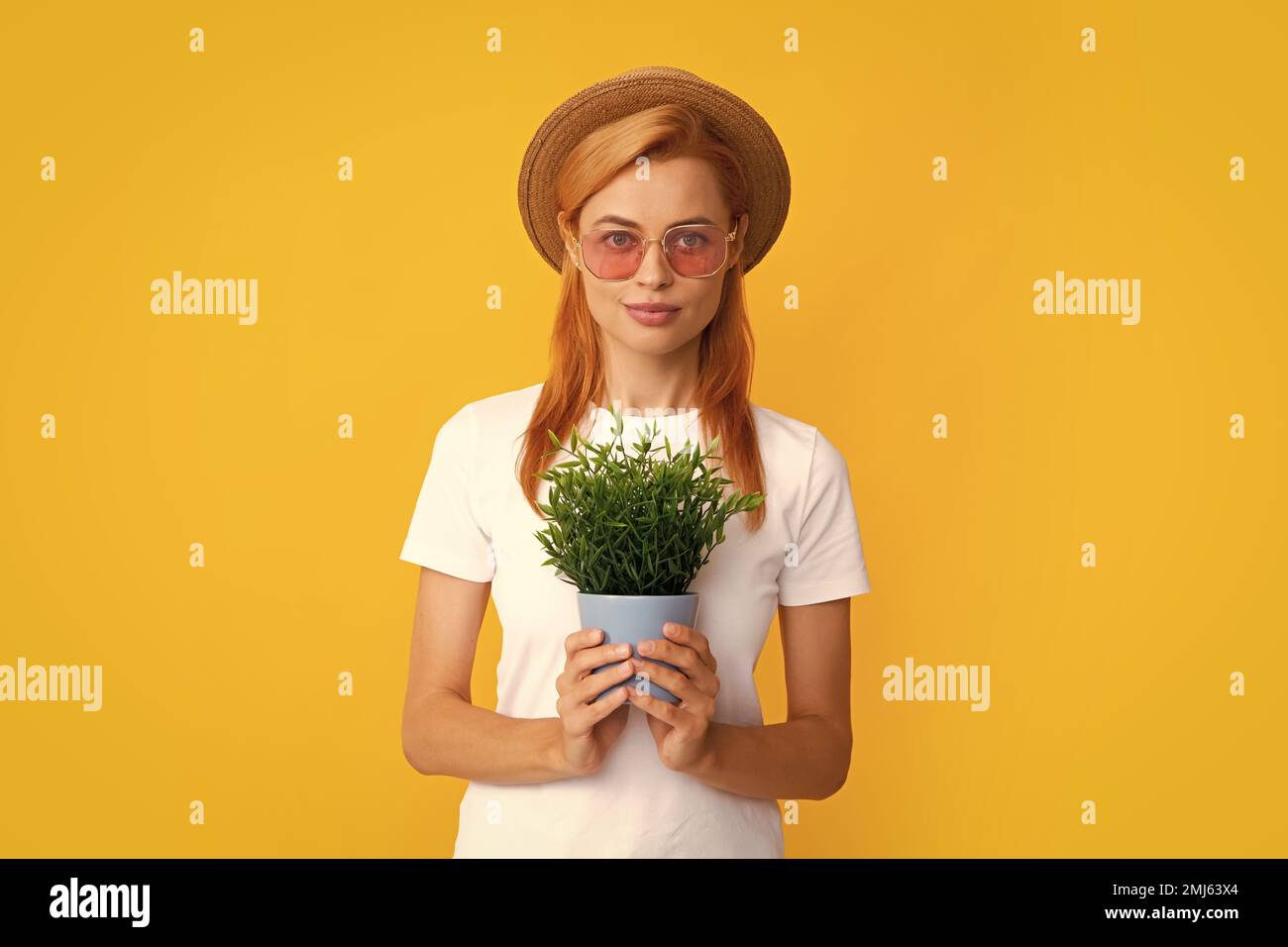 Donna che piantano fiori in vaso isolato su sfondo giallo studio. Modello di lavoro grazioso, concetto di giardinaggio di estate. Foto Stock