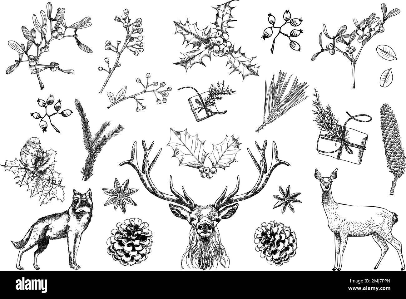Collezione classica retro Christmas: Vari animali e prodotti botanici. Elementi disegnati a mano splendidamente eleganti per creare il vostro inverno e la vostra vacanza Illustrazione Vettoriale