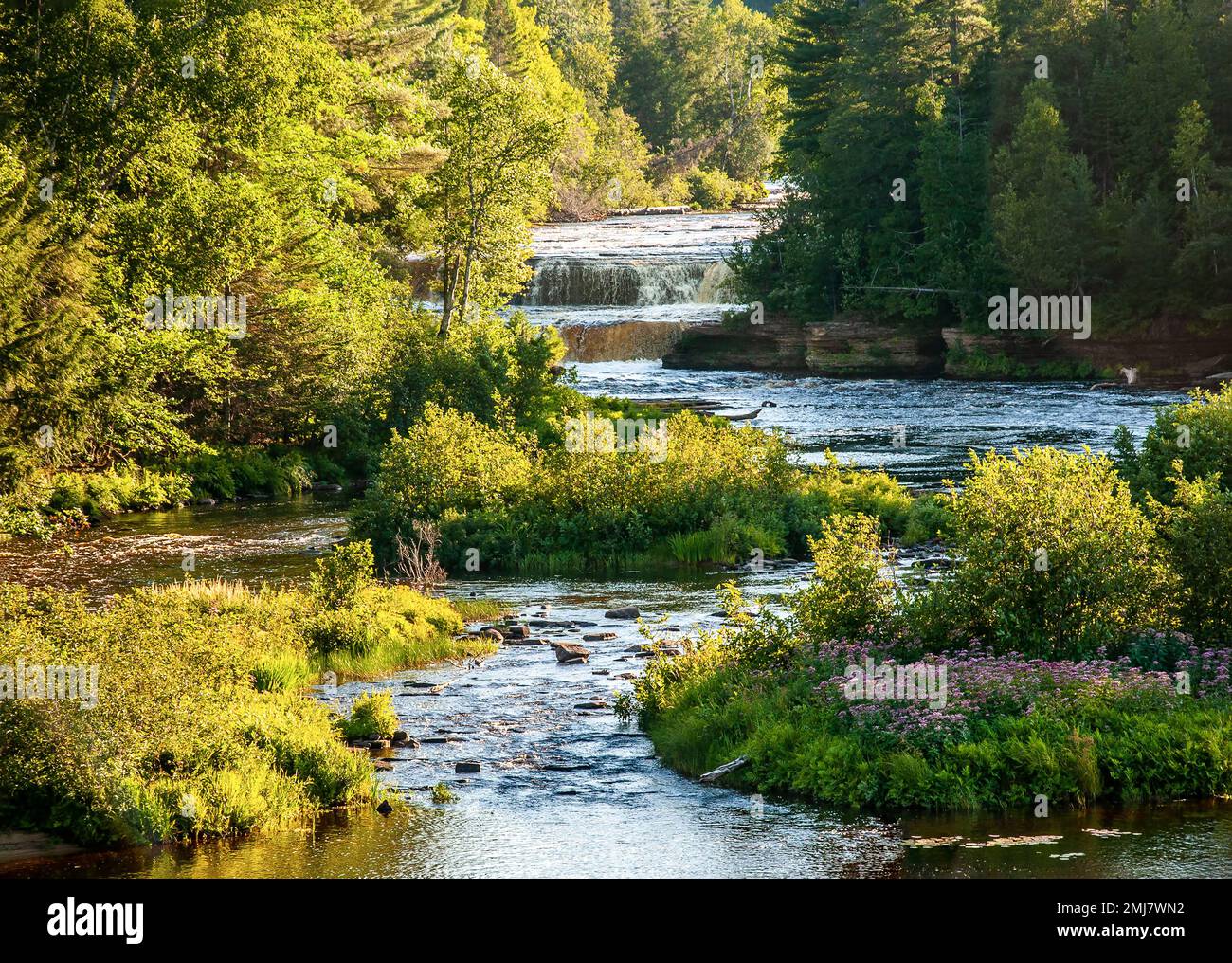 Estate Foilage intorno al flusso del fiume Lower Tahquamenon Falls Foto Stock