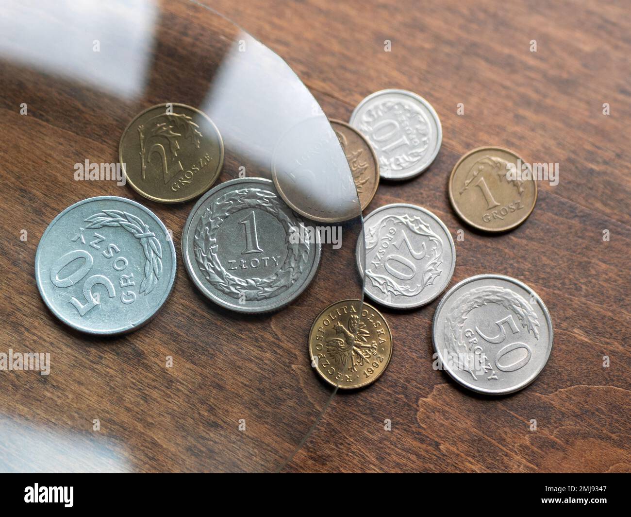 La moneta polacca, gli zlotys, sotto la lente d'ingrandimento sul tavolo di legno, fuoco selettivo. Valute europee locali Foto Stock