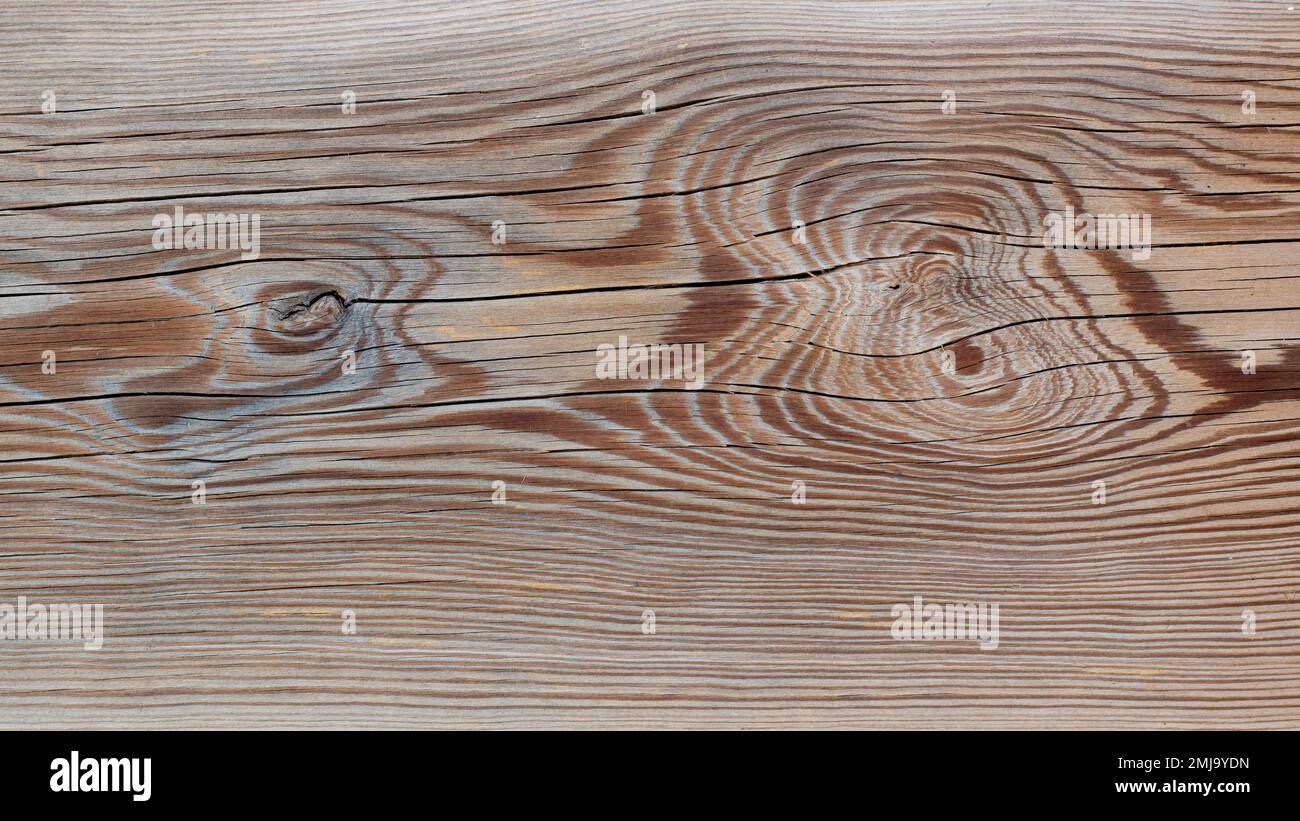 La tana de la tana de la madera antigua, fondo textura Foto Stock