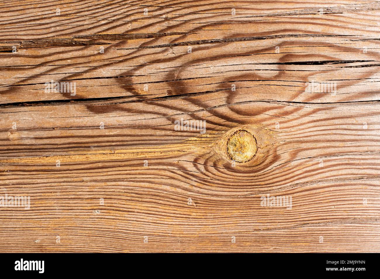 La tana de la tana de la madera antigua, fondo textura Foto Stock