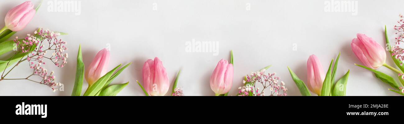 Tulipani rosa su sfondo bianco. Cartolina Buon San Valentino. Concetto di amore per la giornata della madre. posiziona per testo Foto Stock