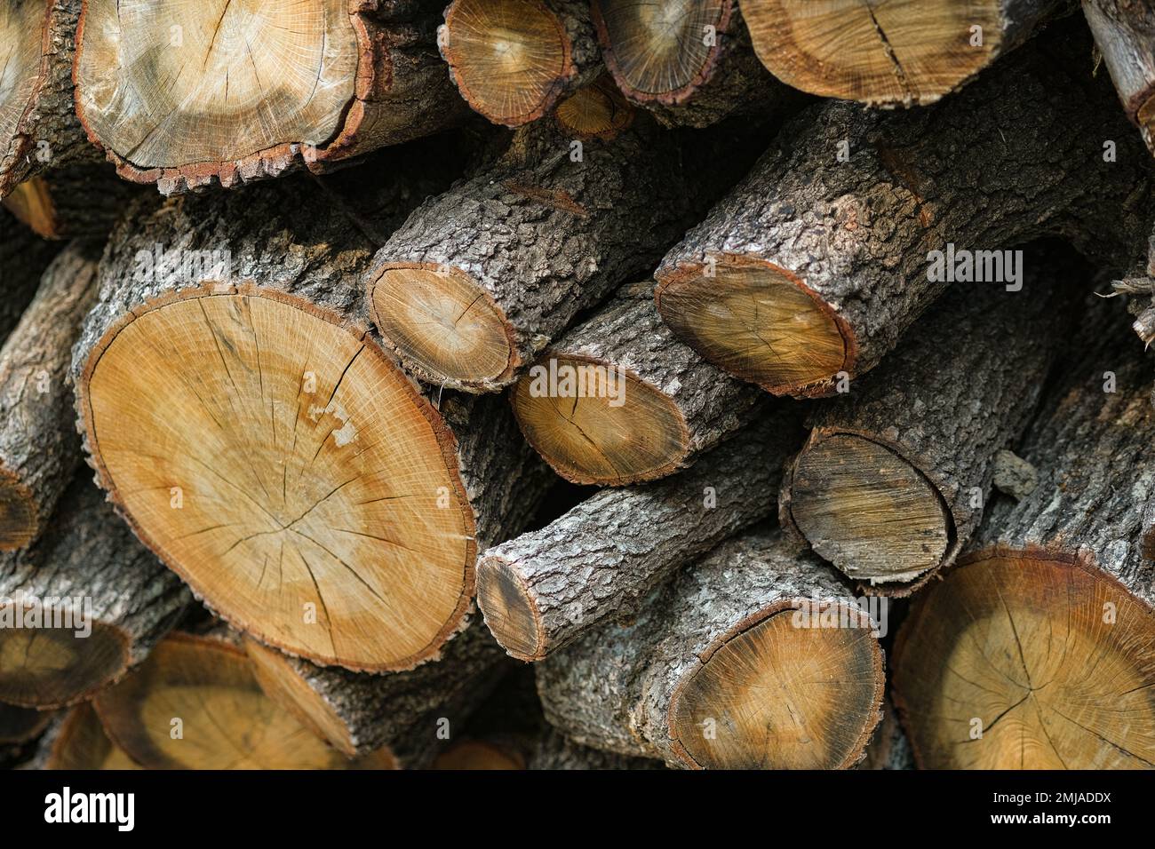 Legna da ardere pila di tronchi impilati per la casa inverno camino bruciare, energia materiale Foto Stock