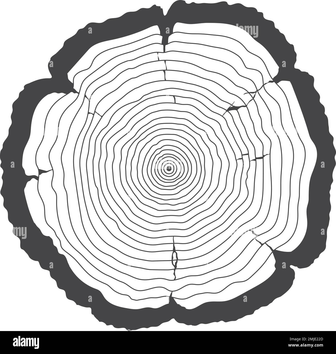 Anelli dell'anno di età dell'albero. Taglio di legno Illustrazione Vettoriale