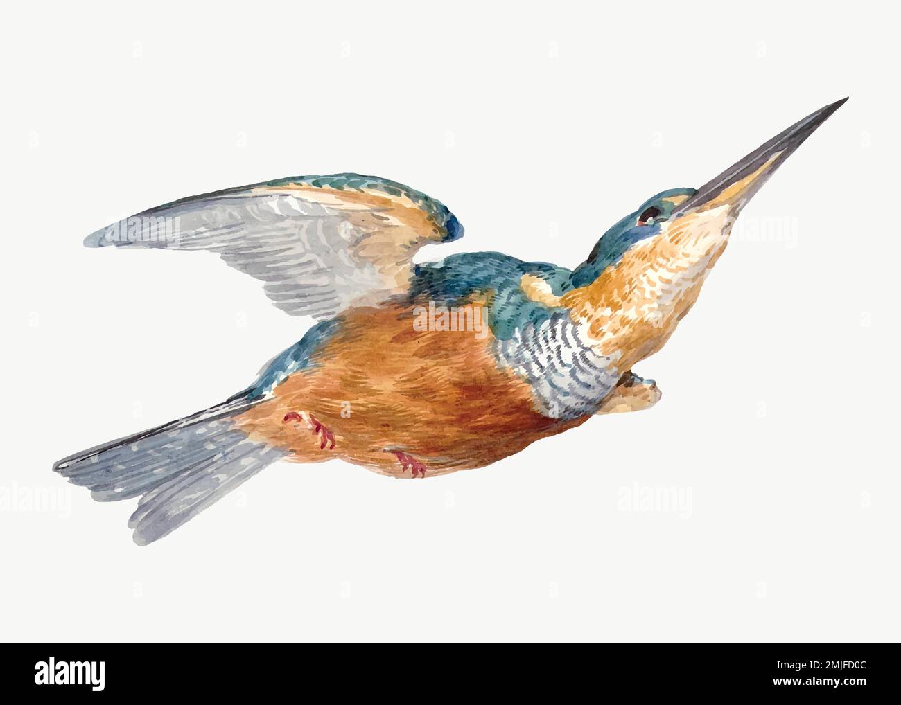 Vettore d'illustrazione Kingfisher, remixato dalle opere d'arte di Aert Schouman Illustrazione Vettoriale