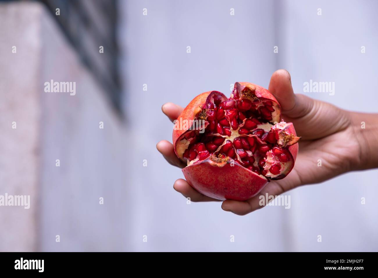 Frutto di melograno maturo nelle mani di un agricoltore Foto Stock