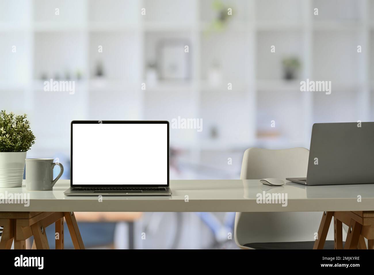 Vista frontale di computer portatili, tazza di caffè e piante in vaso sulla scrivania bianca dell'ufficio. Schermo vuoto per il tuo progetto pubblicitario Foto Stock